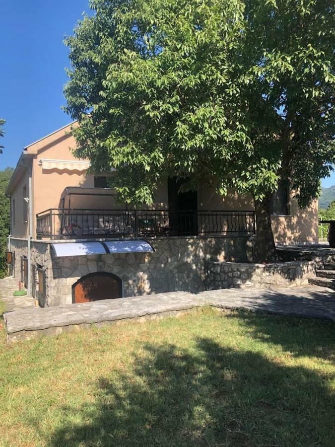 T-A Apartment Rijeka Crnojevića Екстериор снимка