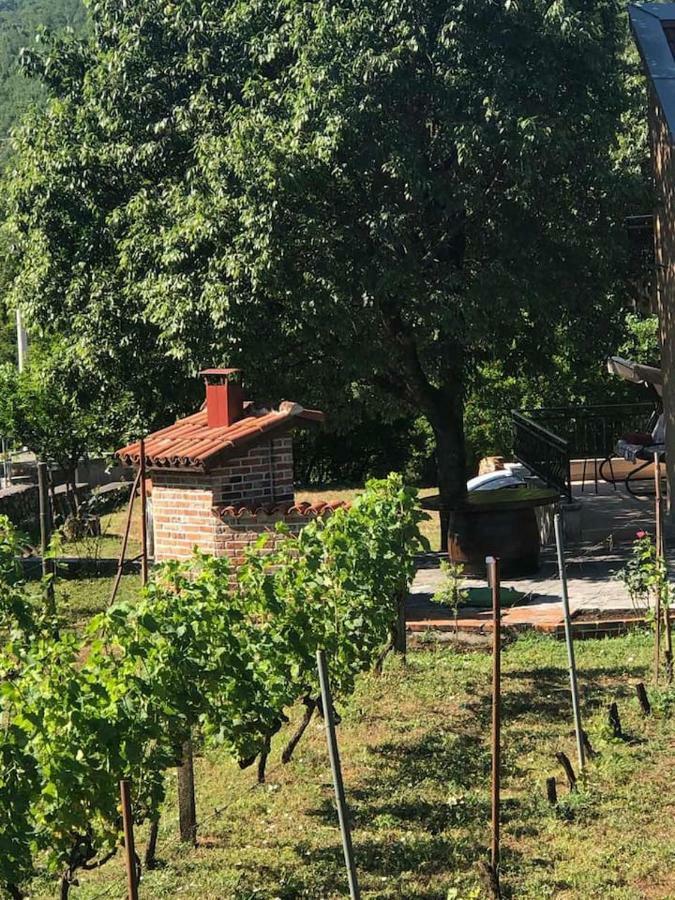 T-A Apartment Rijeka Crnojevića Екстериор снимка